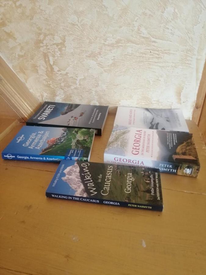 Irma Beso & Aleko Khergianis Guesthouse ميستيا المظهر الخارجي الصورة