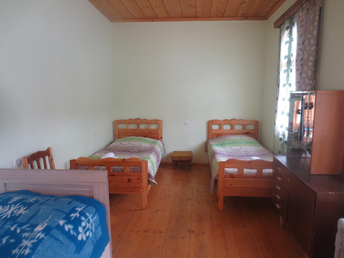Irma Beso & Aleko Khergianis Guesthouse ميستيا المظهر الخارجي الصورة