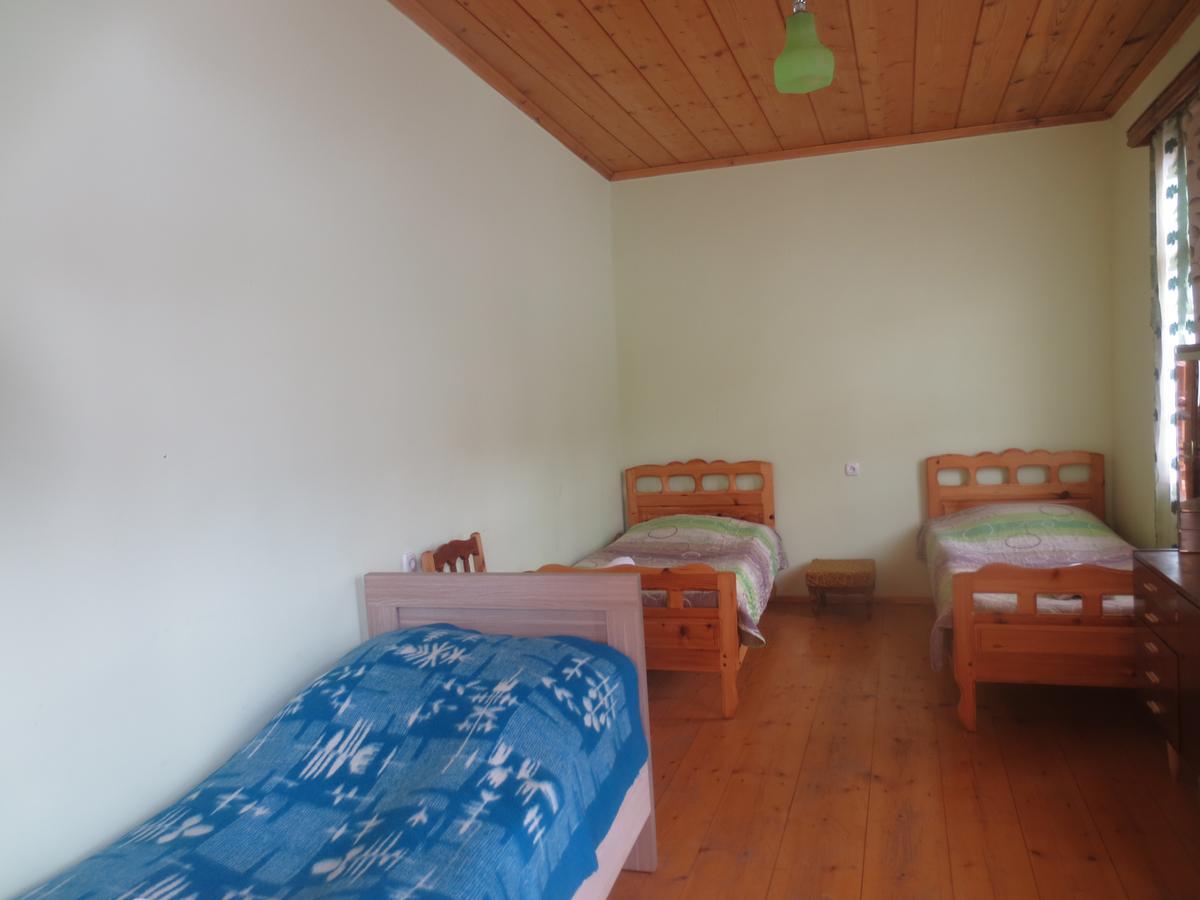Irma Beso & Aleko Khergianis Guesthouse ميستيا المظهر الخارجي الصورة