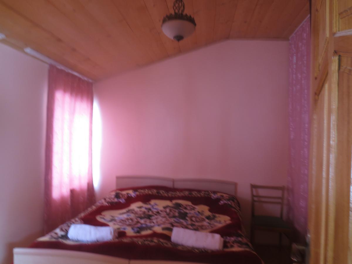 Irma Beso & Aleko Khergianis Guesthouse ميستيا المظهر الخارجي الصورة