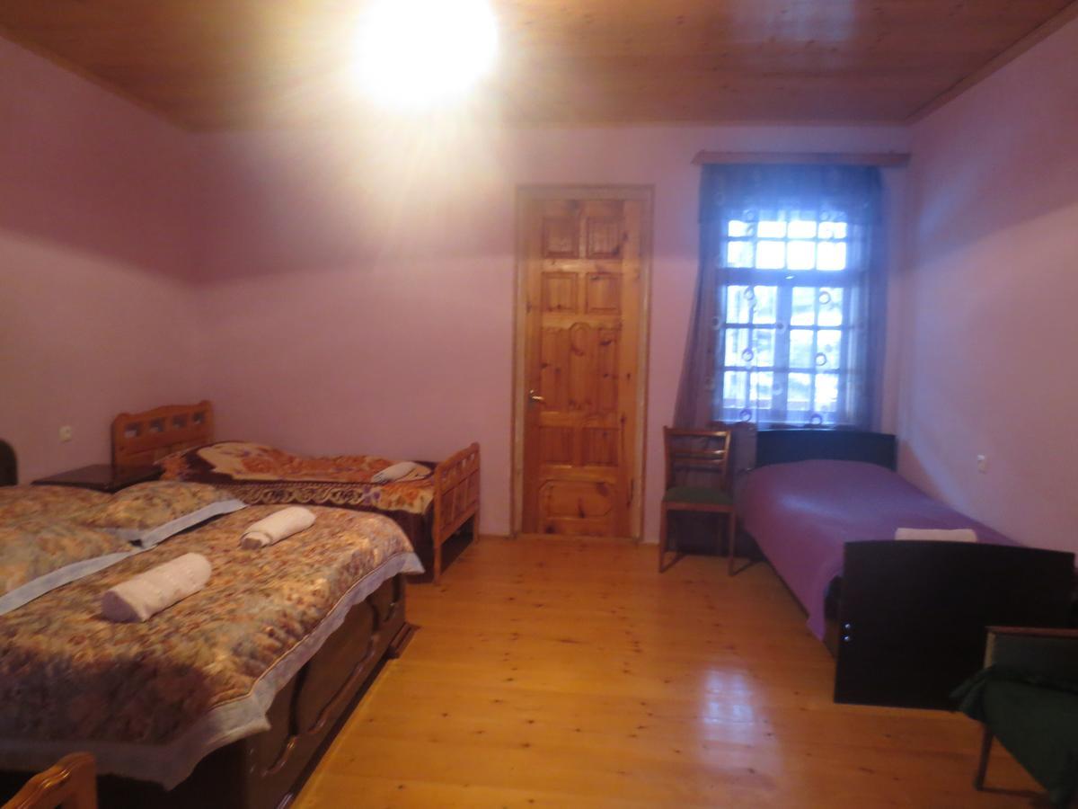 Irma Beso & Aleko Khergianis Guesthouse ميستيا المظهر الخارجي الصورة