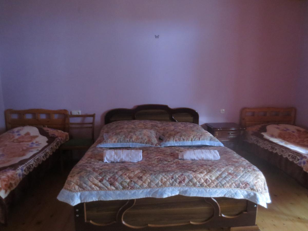 Irma Beso & Aleko Khergianis Guesthouse ميستيا المظهر الخارجي الصورة
