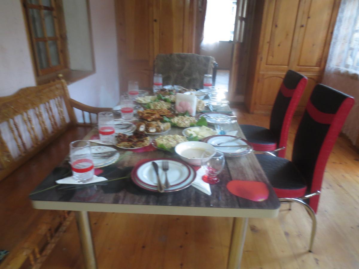 Irma Beso & Aleko Khergianis Guesthouse ميستيا المظهر الخارجي الصورة